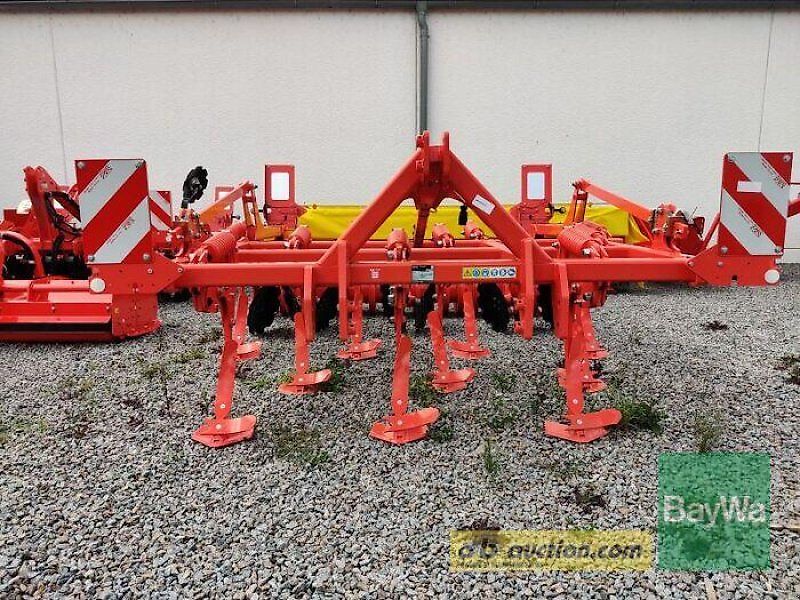 Maschio TERREMOTO 3 300