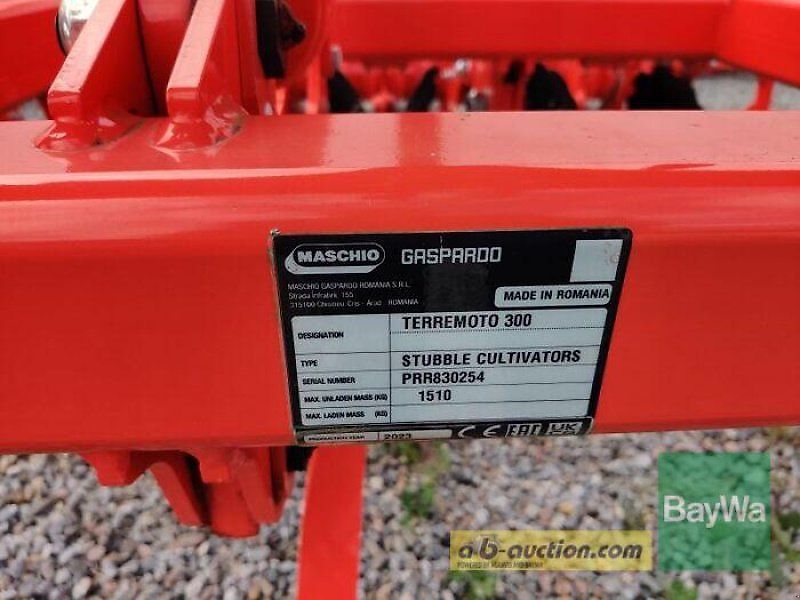 Maschio TERREMOTO 3 300
