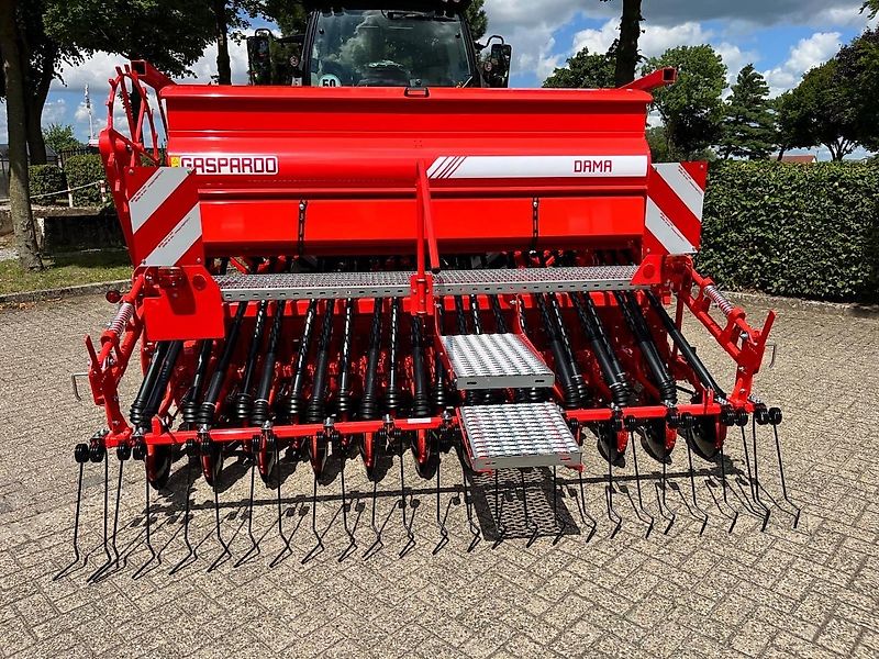 Maschio Dama 300 DM-Classic MASCHIO 3000