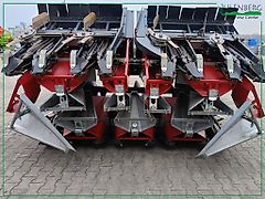 Dominoni SL978BGTRP-75