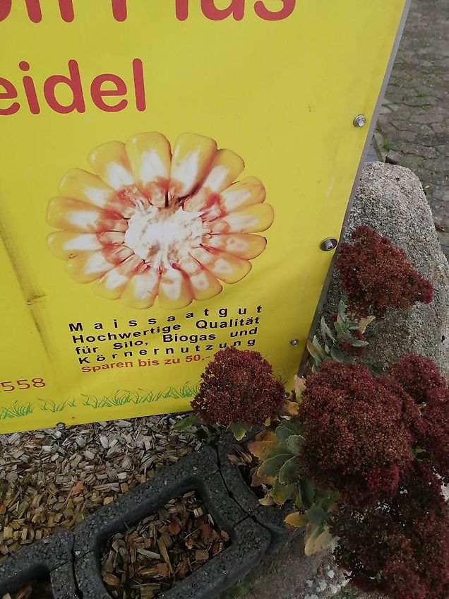 Howard Keine Maschio HR 40 Bodenfräse 265cm mit Pakerwalze 400mm Frässmesser 100% 60 Stück