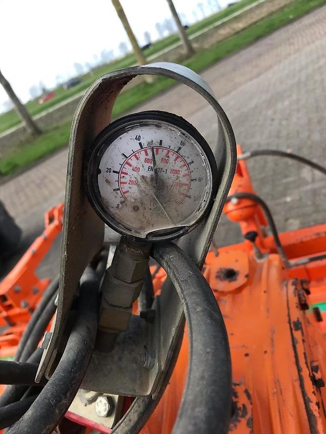 Struik RF 310 ruggenfrees