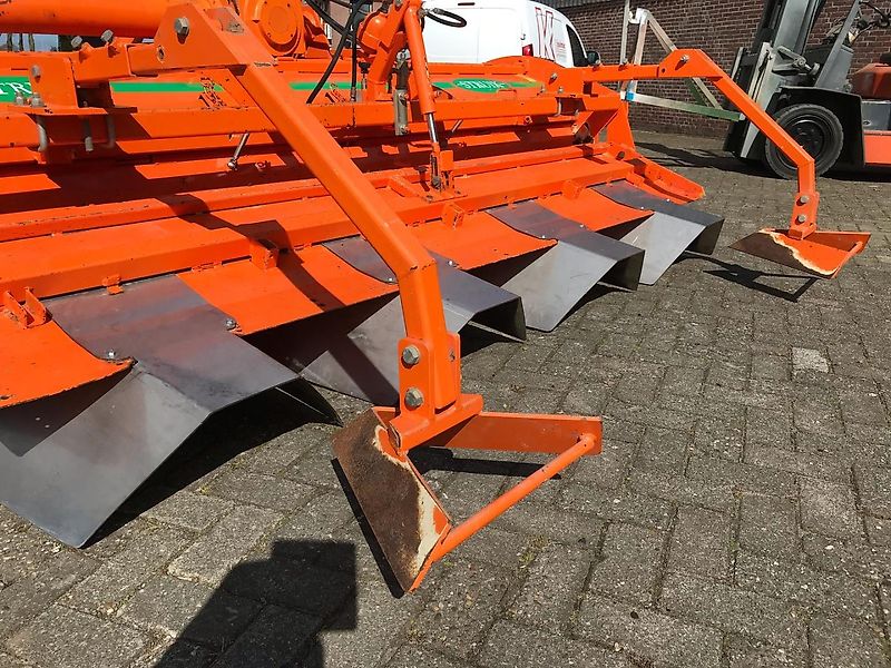 Struik RF 310 ruggenfrees