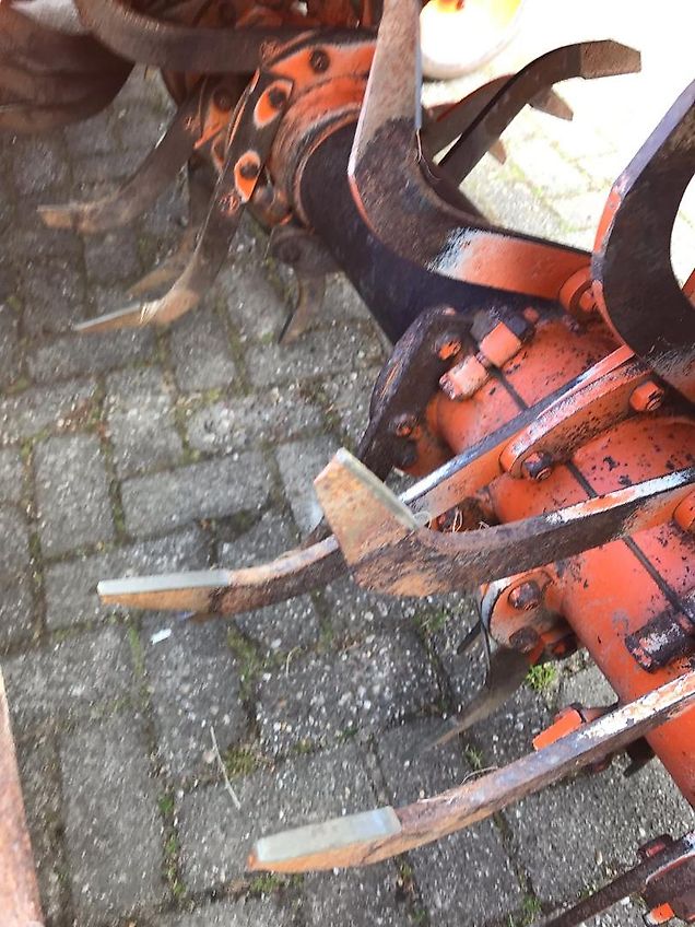 Struik RF 310 ruggenfrees