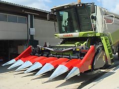 Dominoni SL 976 BG Magnum